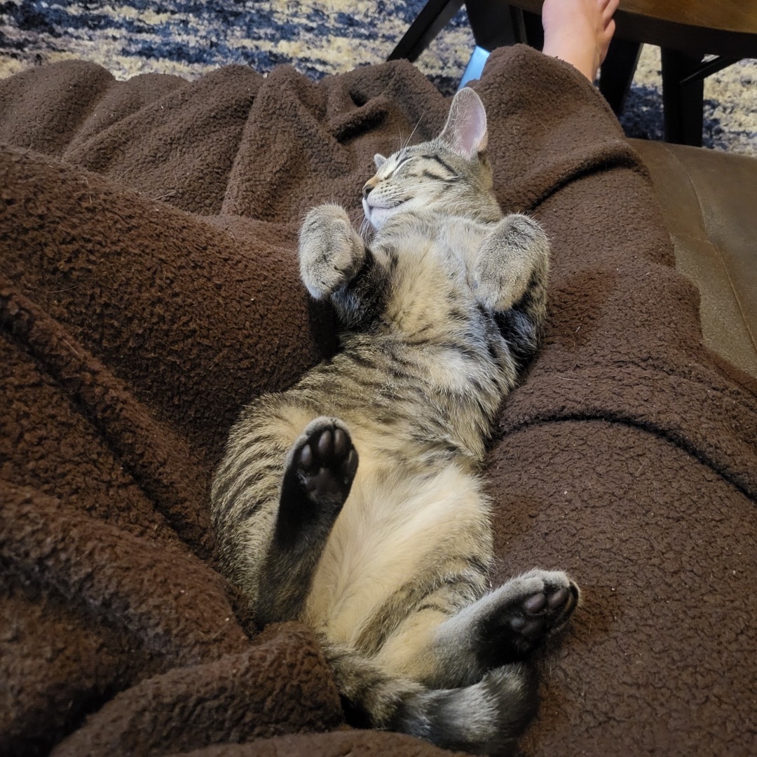 Cate photo 5