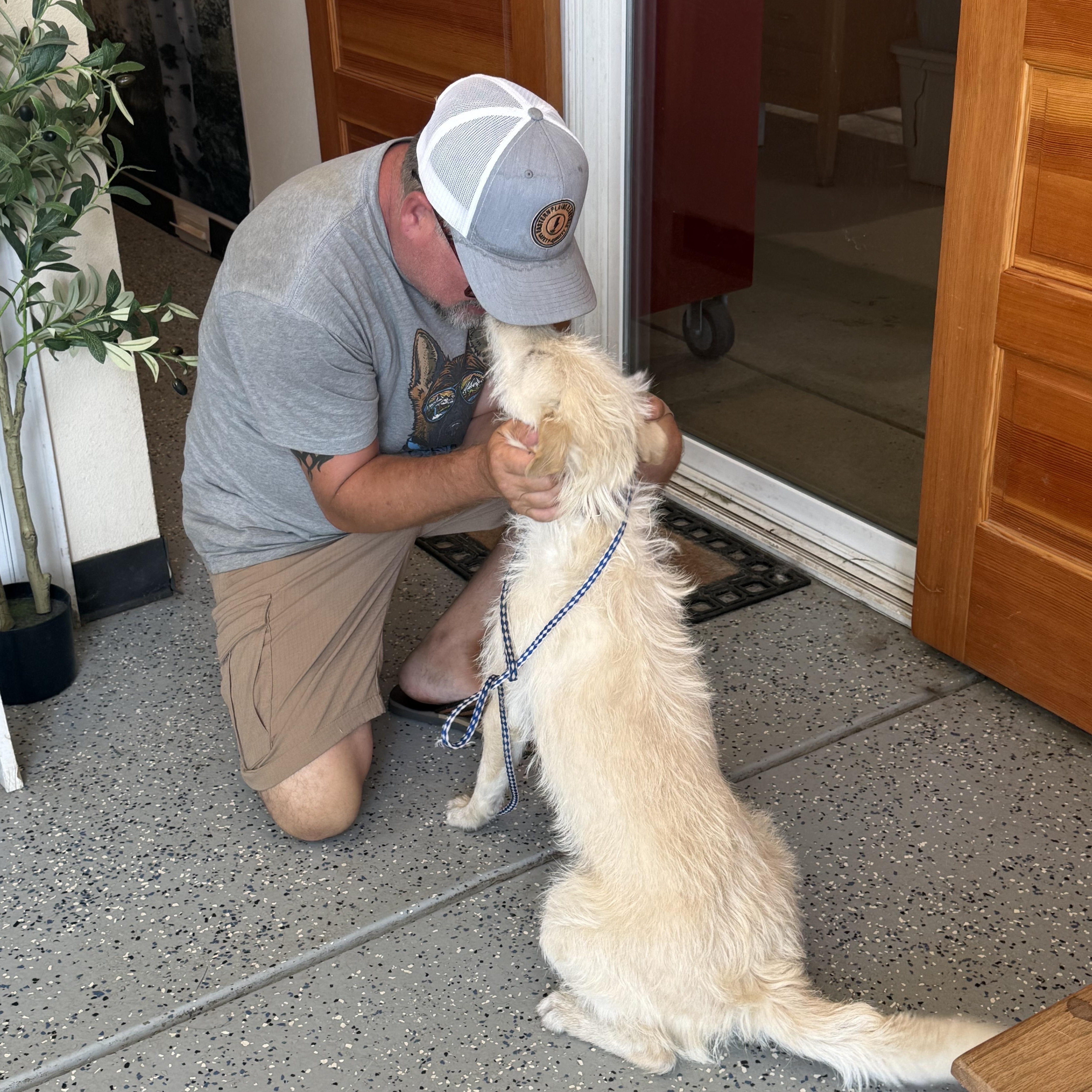 Enlarge Camilo, an adopted mixed breed in Loveland, CO image 2/6