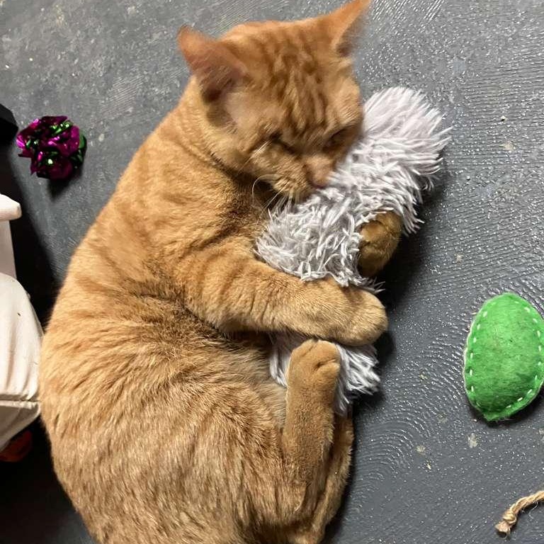 Wilma — thumbnail 2