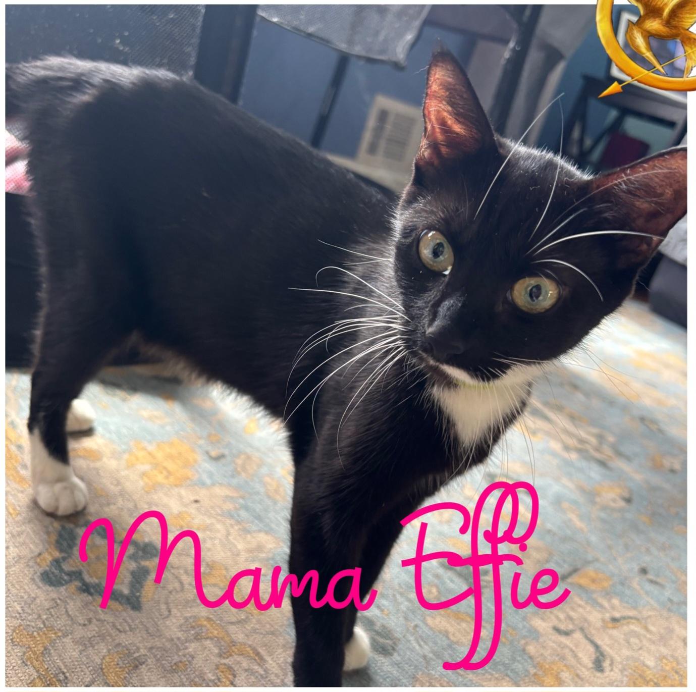 Effie, Young Female unknown