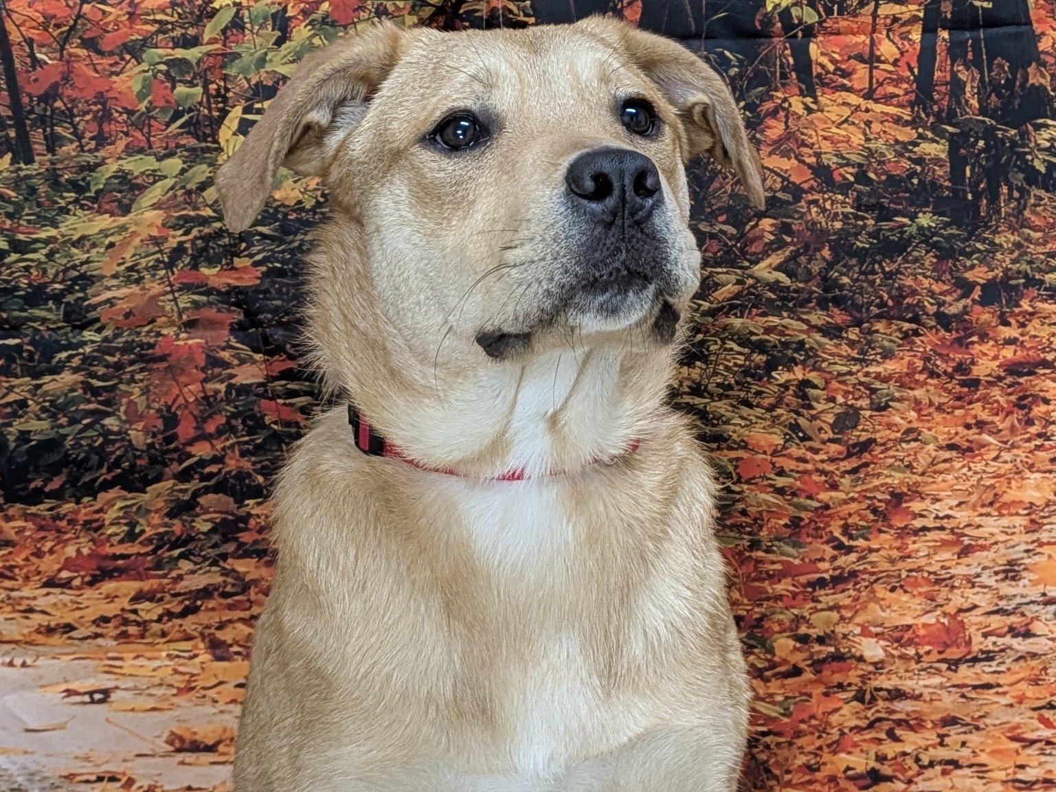 Freya — thumbnail 3