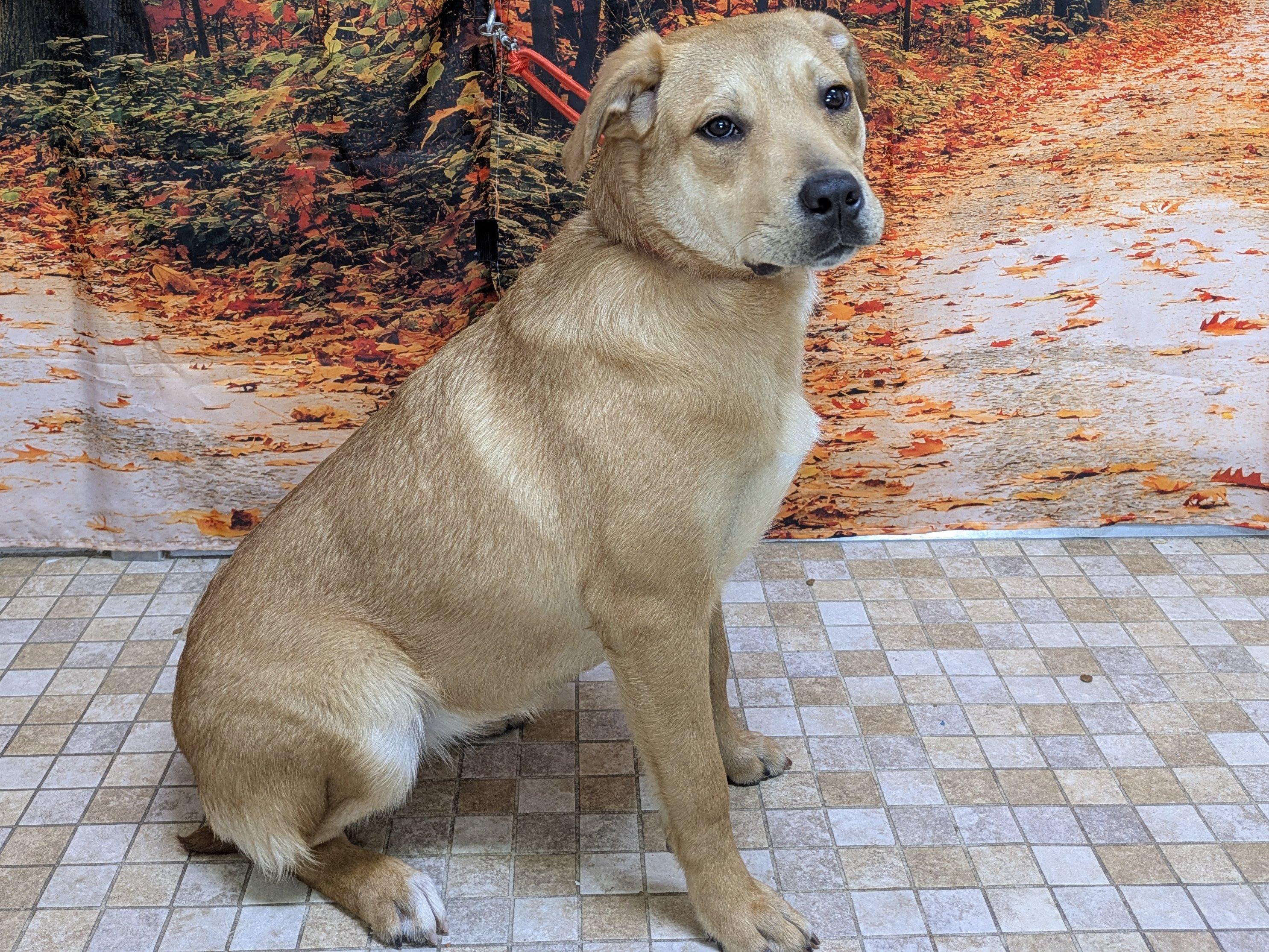 Freya — thumbnail 4