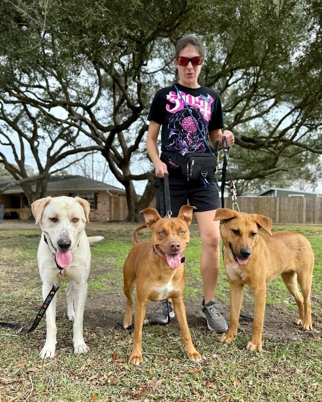 Sweet Peaches the Little Ray of Sunshine — thumbnail 5