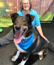 Enlarge Brody, a Adoptable mixed breed in New Albany, OH image 4/6