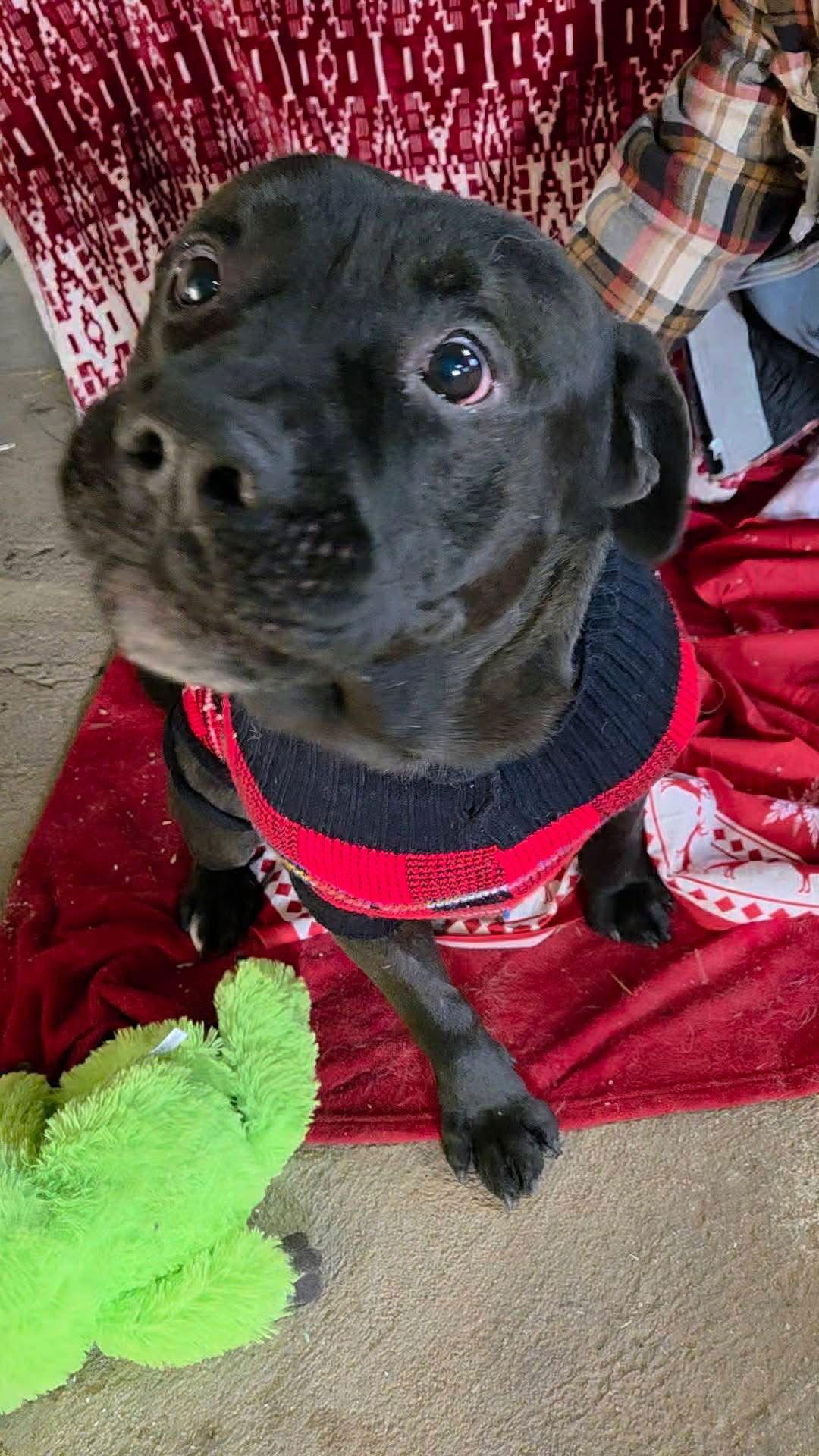 Mars Bar thumbnail 2