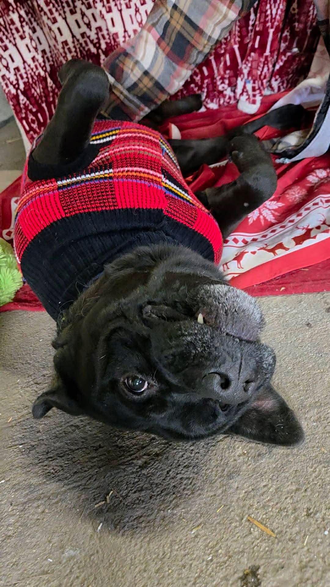 Mars Bar thumbnail 2