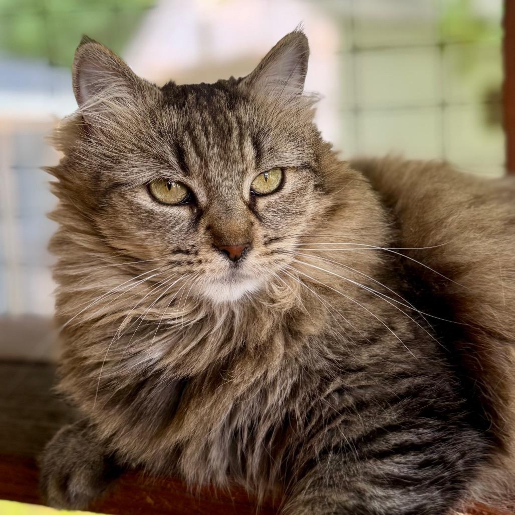 Bette Boo thumbnail 2