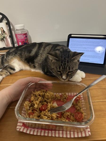 Brittany — thumbnail 2