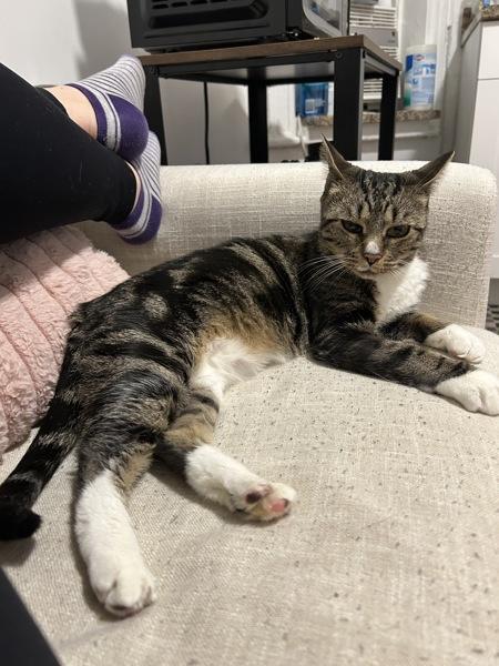 Brittany — thumbnail 6