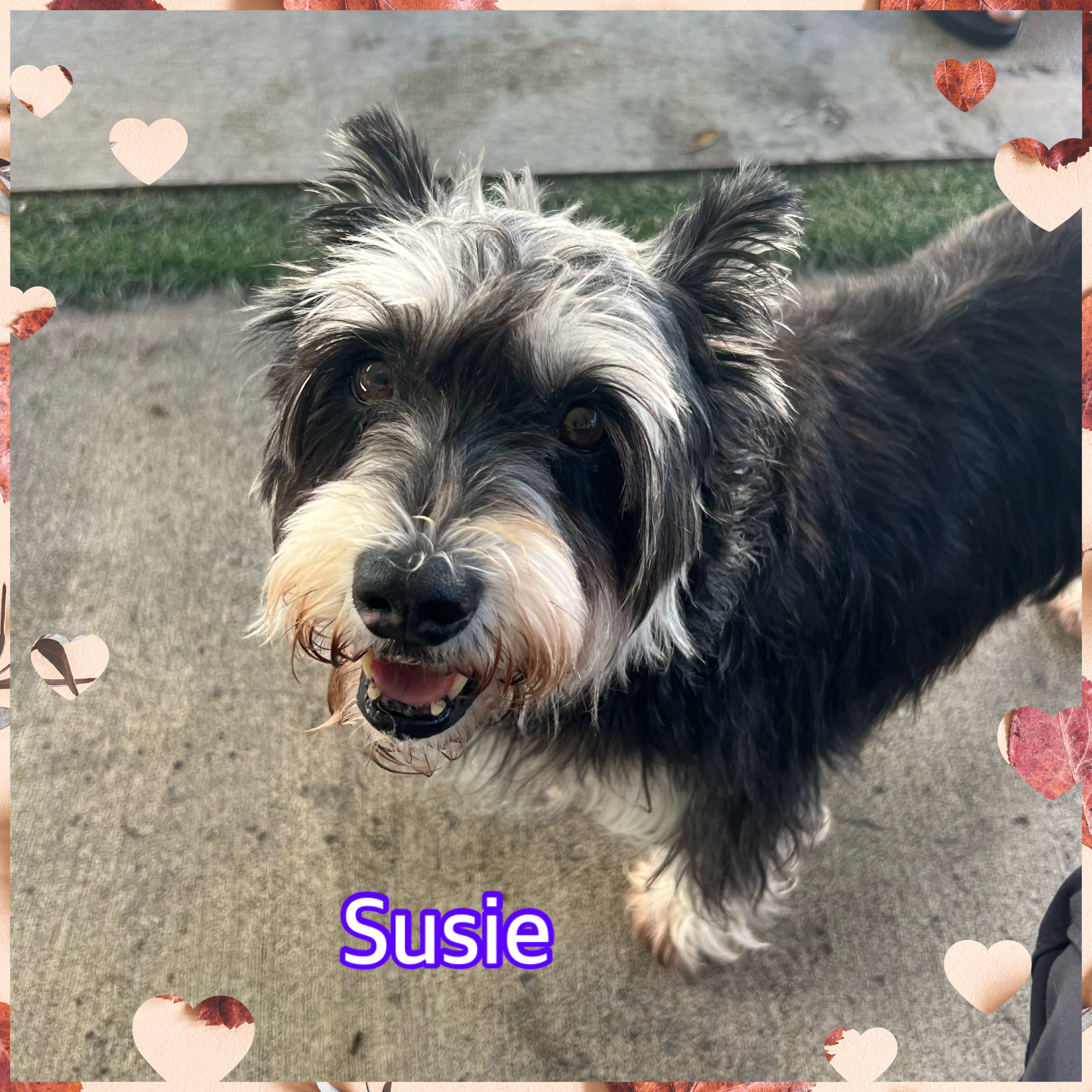 Susie