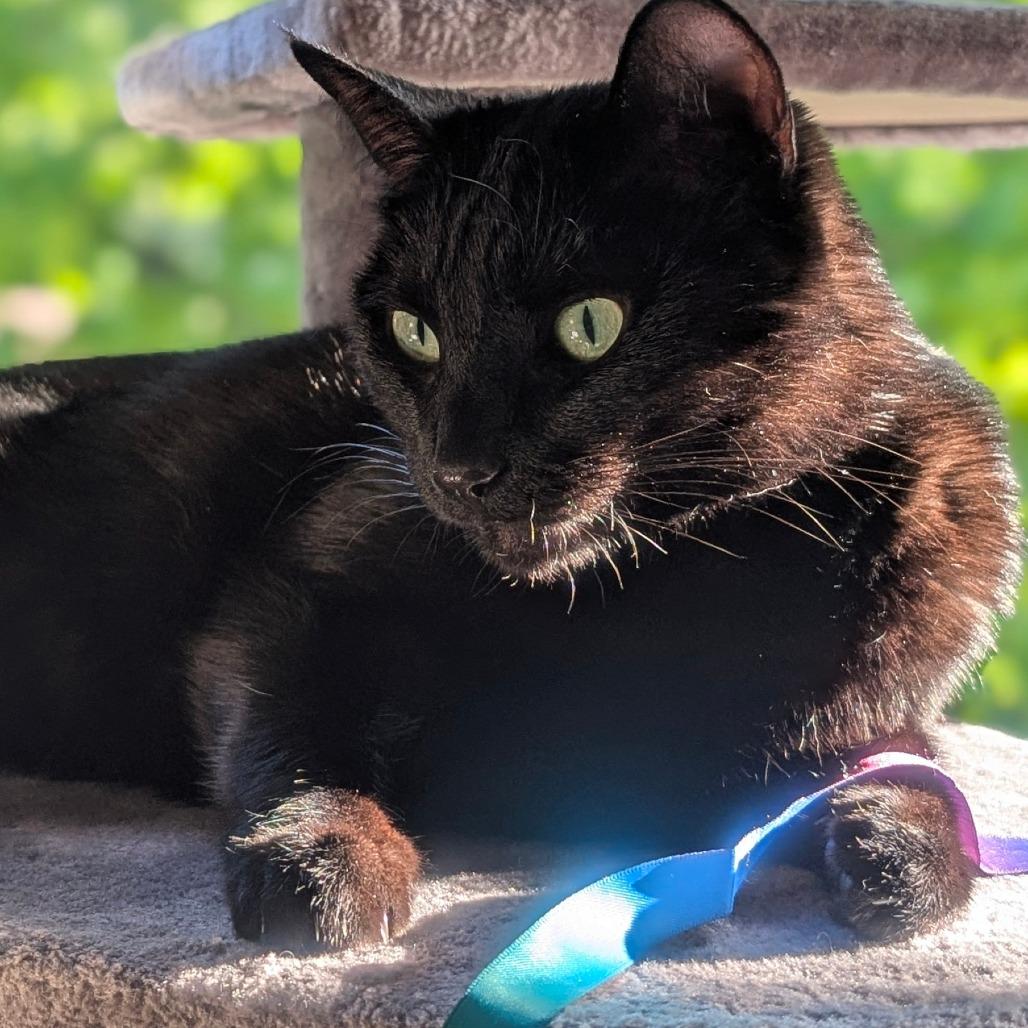 Rosie — thumbnail 2