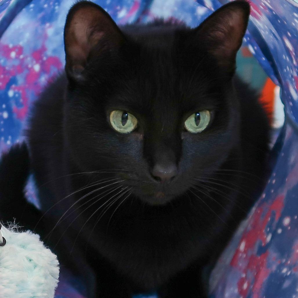 Rosie — thumbnail 3