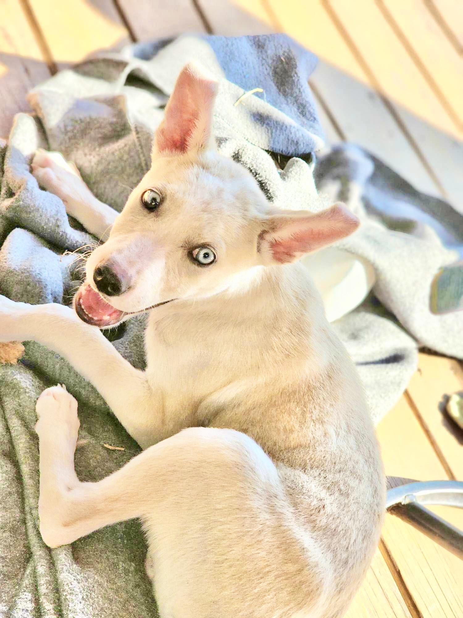 Yuki thumbnail 4