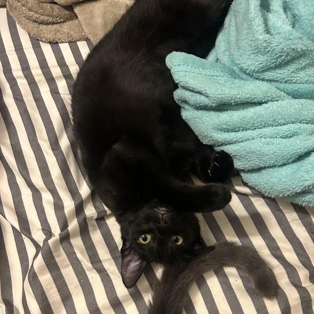 Loop — thumbnail 2