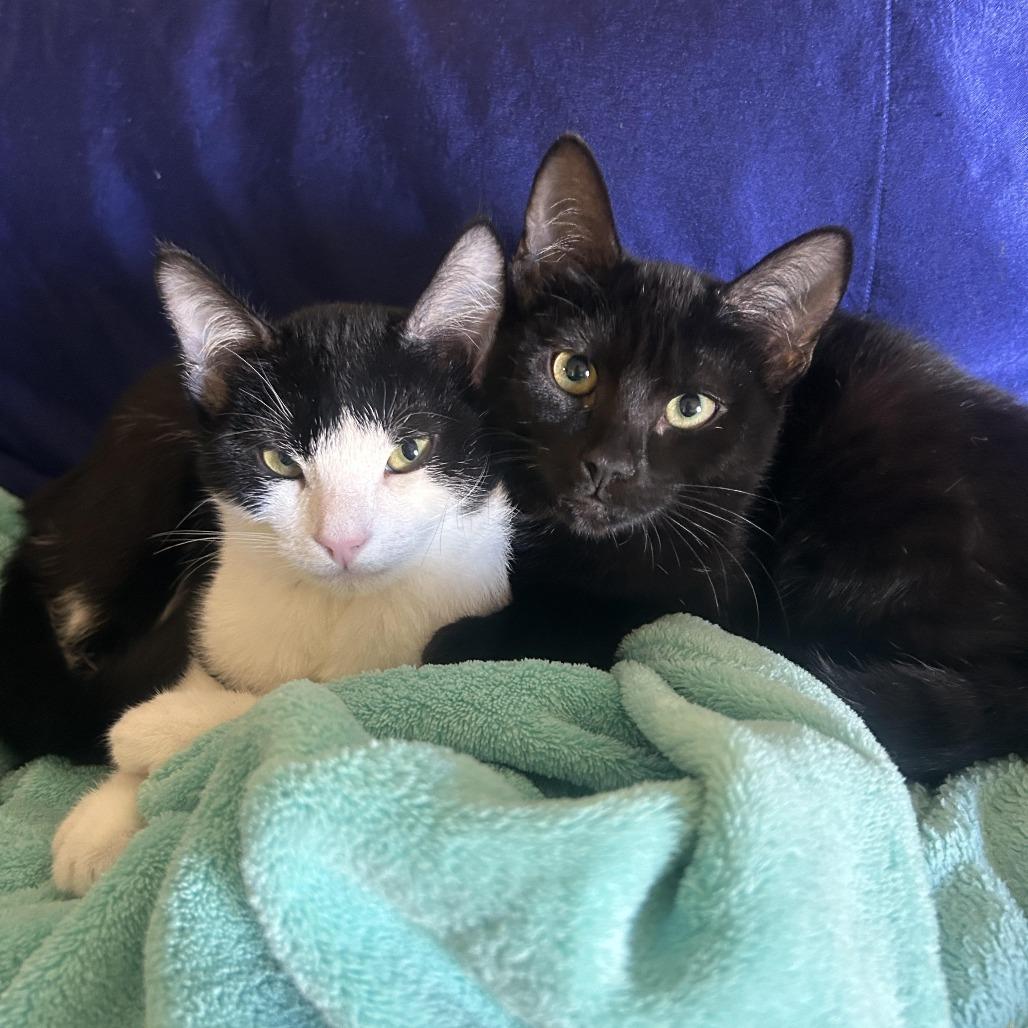 Loop — thumbnail 3