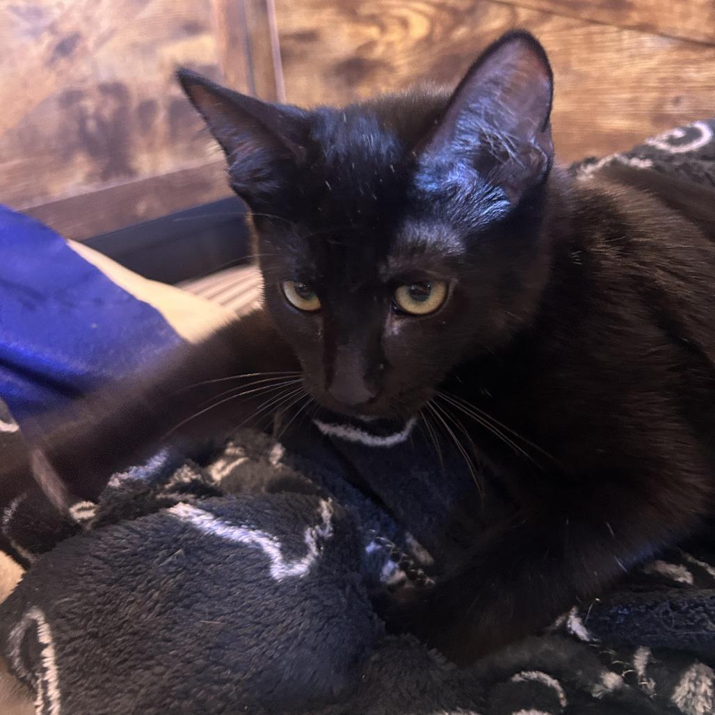 Loop — thumbnail 4