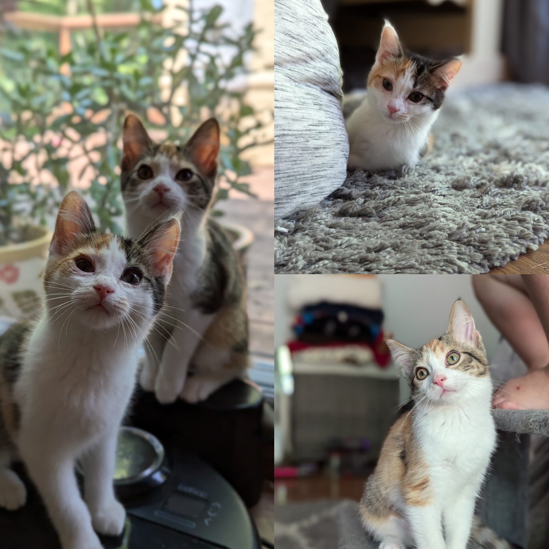Hazel & Valencia