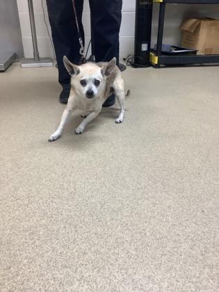 Paolo — thumbnail 2