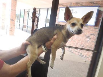 Paolo — thumbnail 3