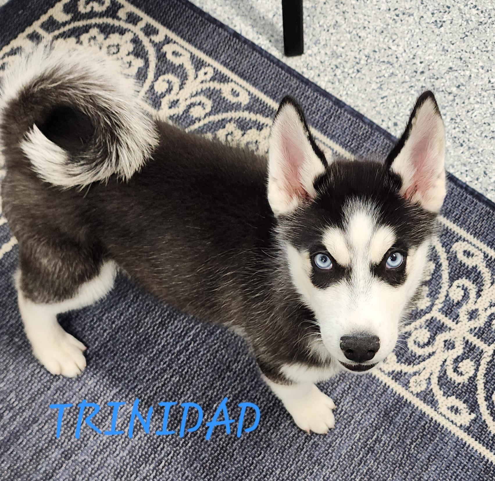 Trinidad