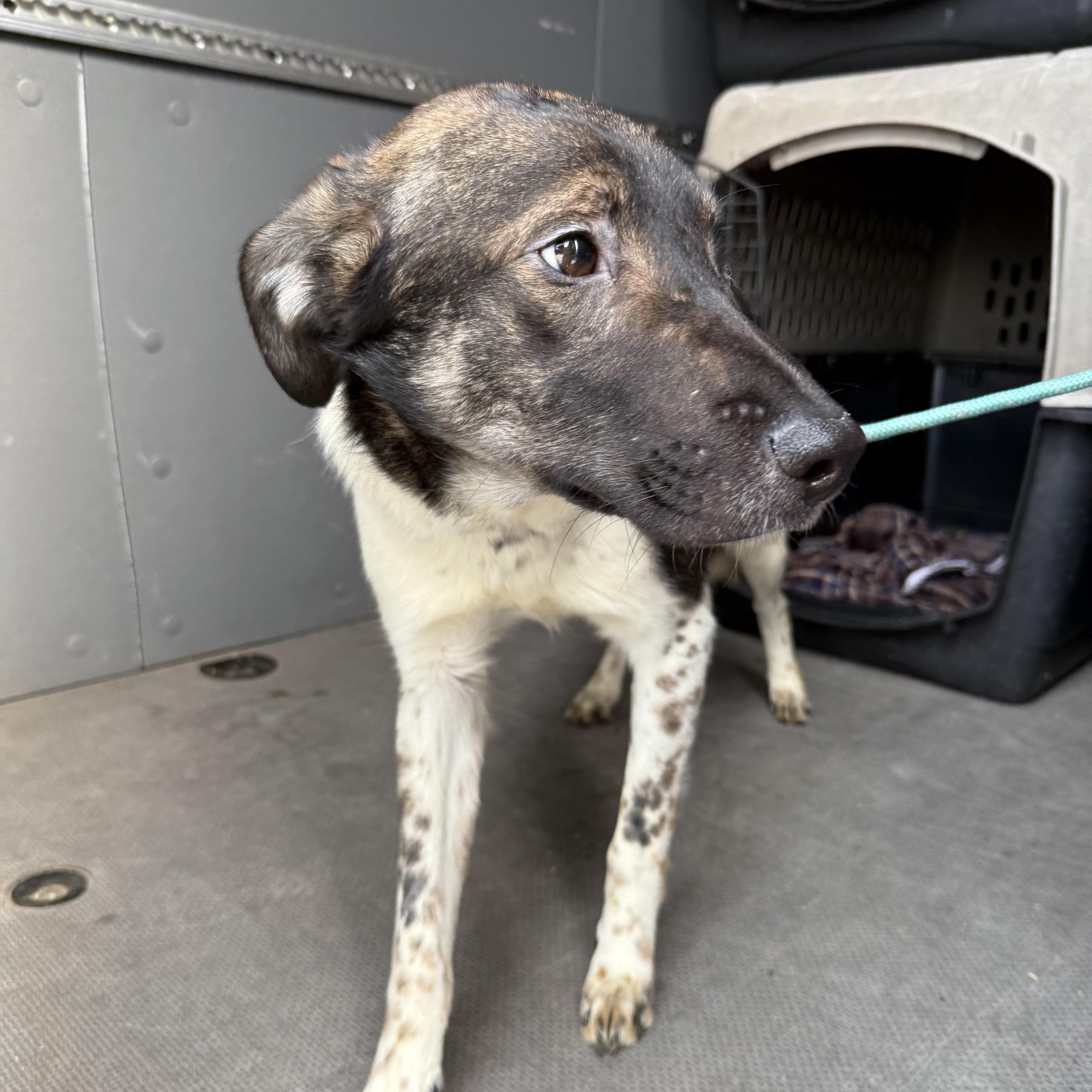 Stonyfield — thumbnail 2