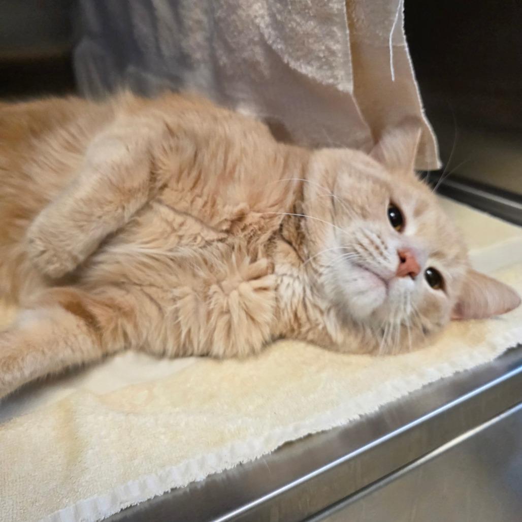 Harry — thumbnail 2