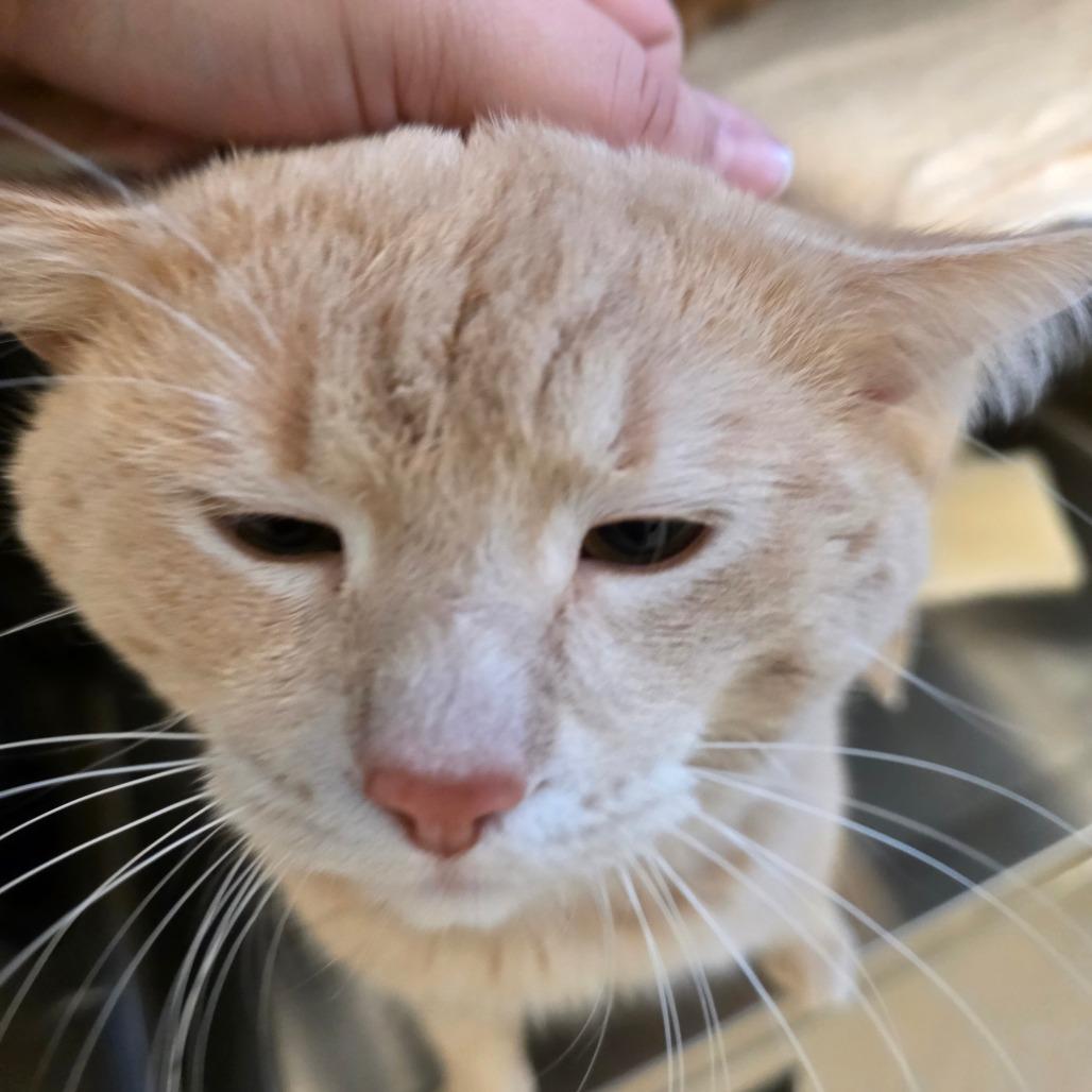 Harry — thumbnail 3