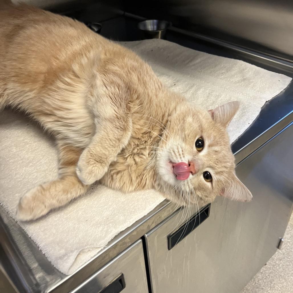 Harry — thumbnail 4