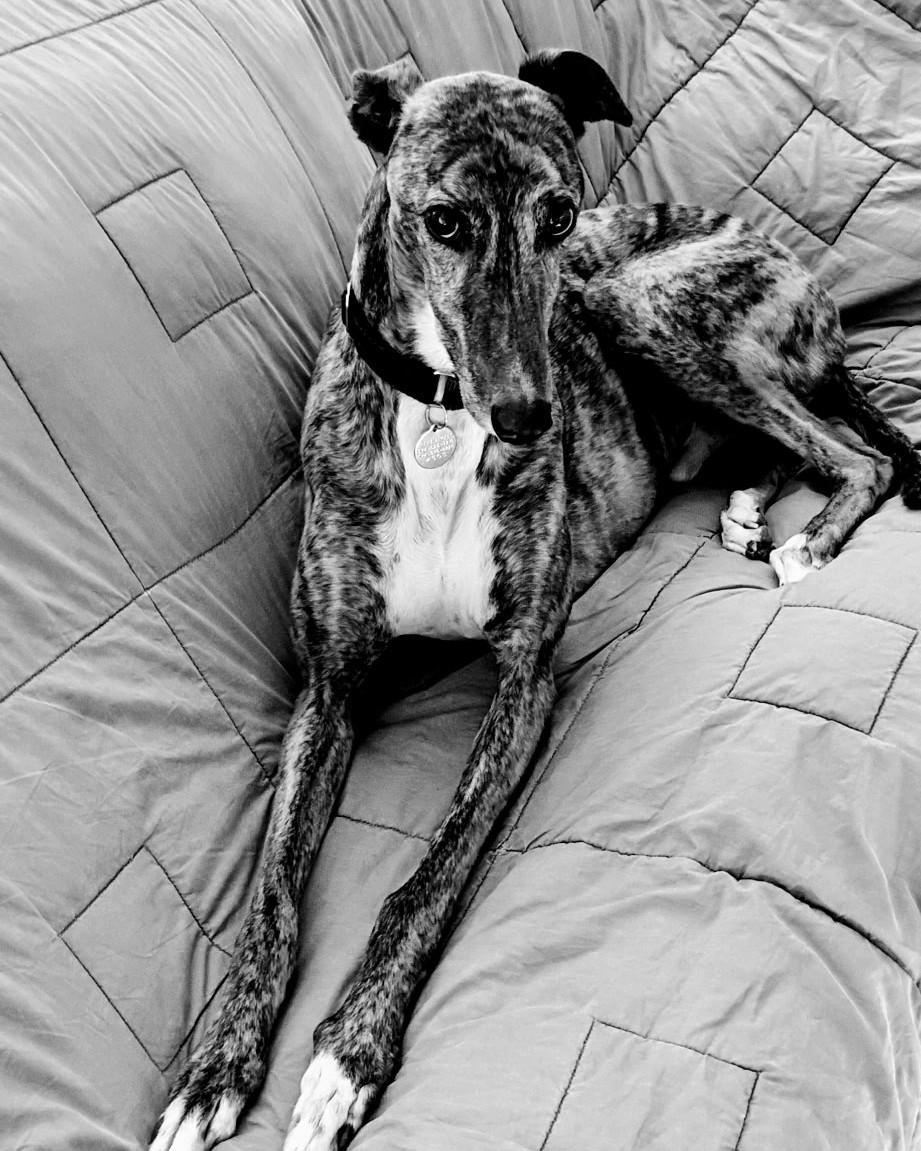 Gary Updated Bio! photo 1