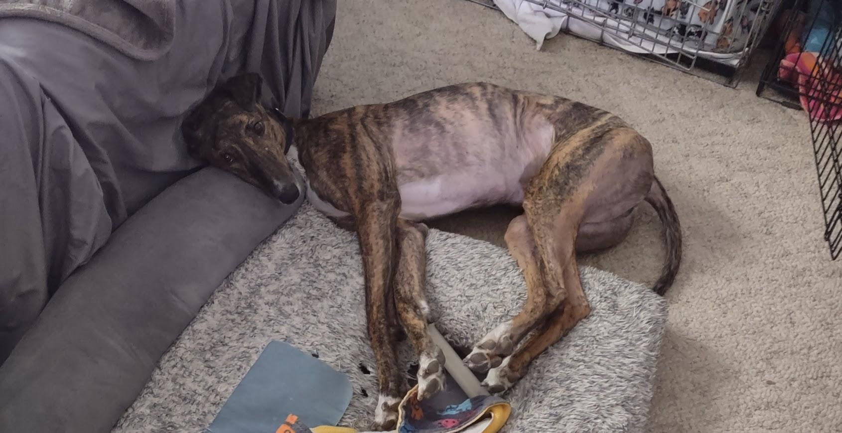 Gary Updated Bio! thumbnail 5