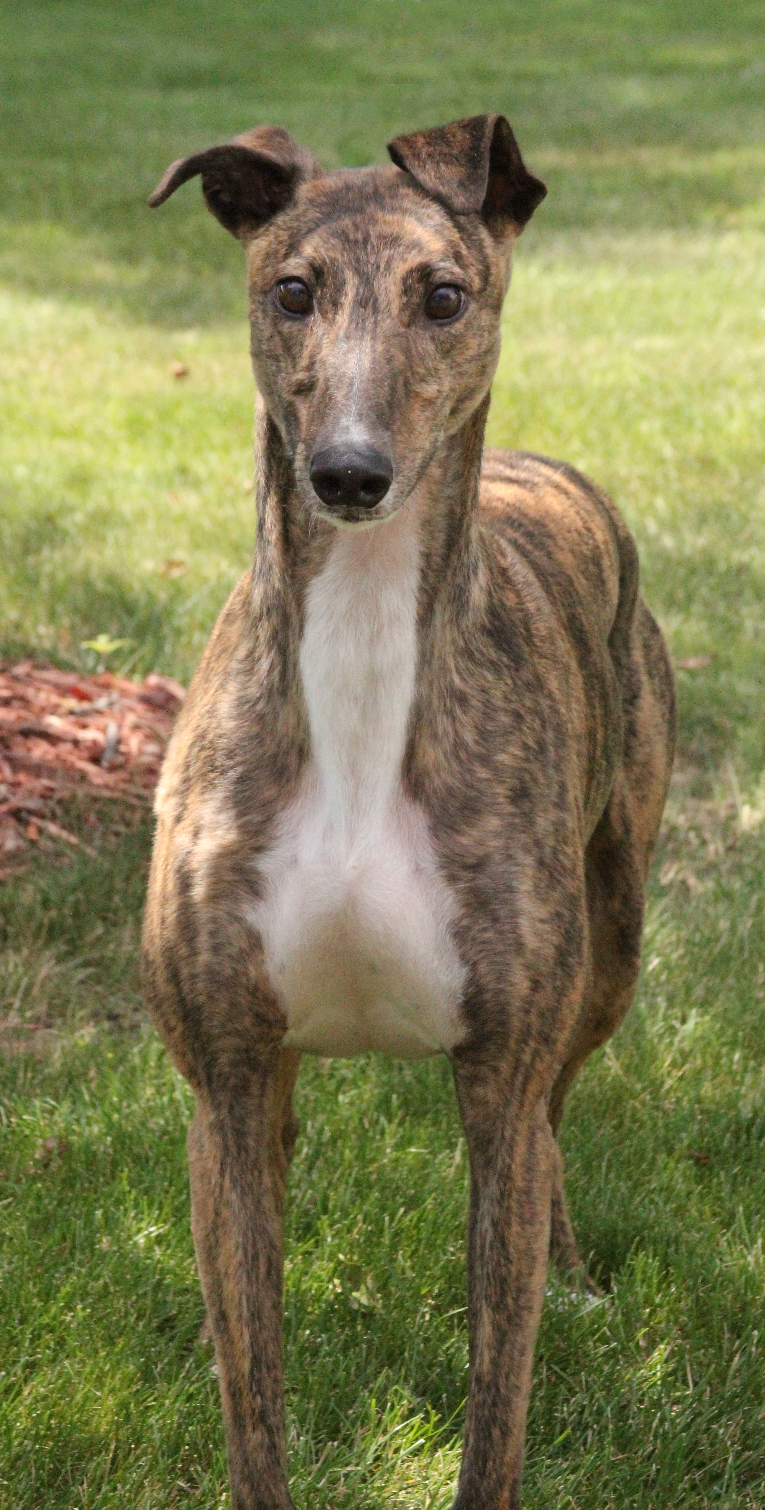 Gary Updated Bio! thumbnail 2