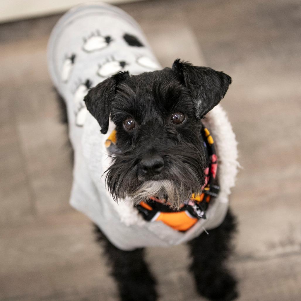 Jasper Fka Mr. Meeseeks