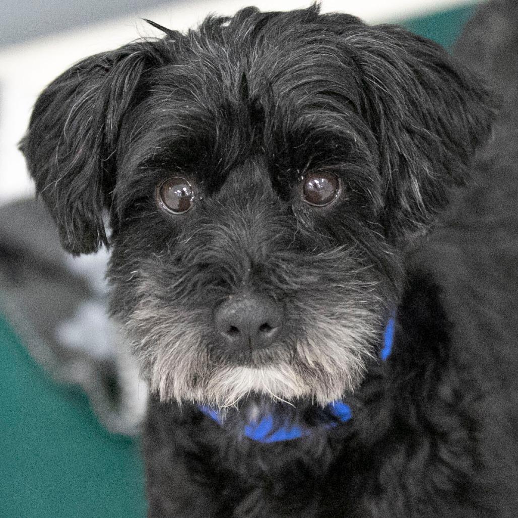 Jasper Fka Mr. Meeseeks thumbnail 2