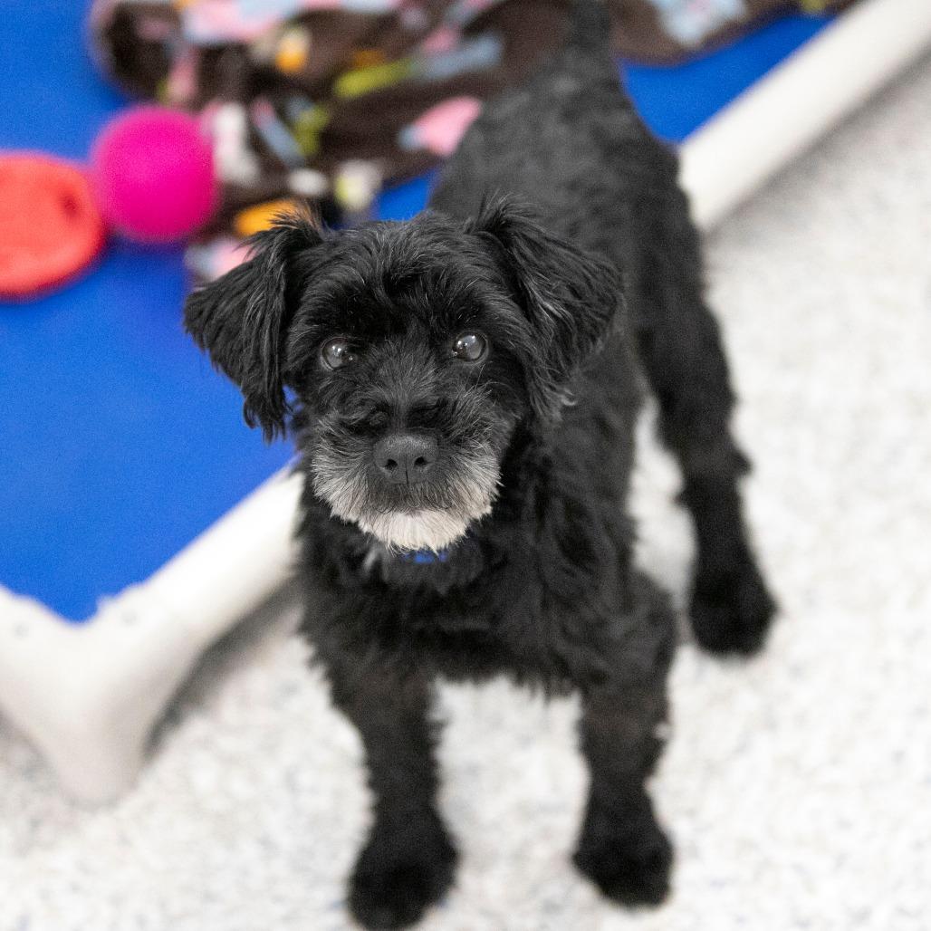 Jasper Fka Mr. Meeseeks thumbnail 3