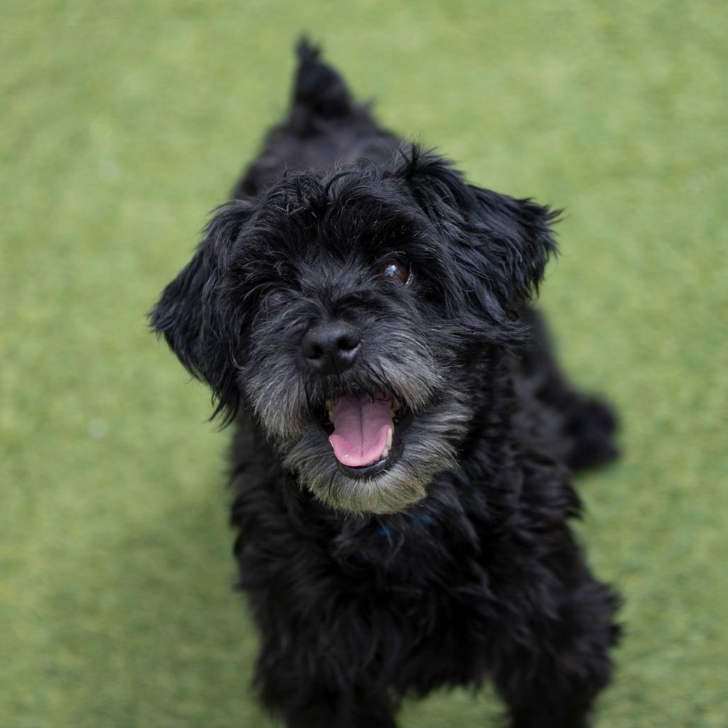 Jasper Fka Mr. Meeseeks thumbnail 4