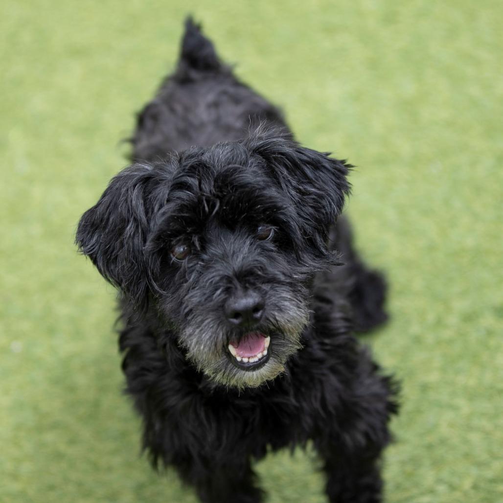 Jasper Fka Mr. Meeseeks thumbnail 5