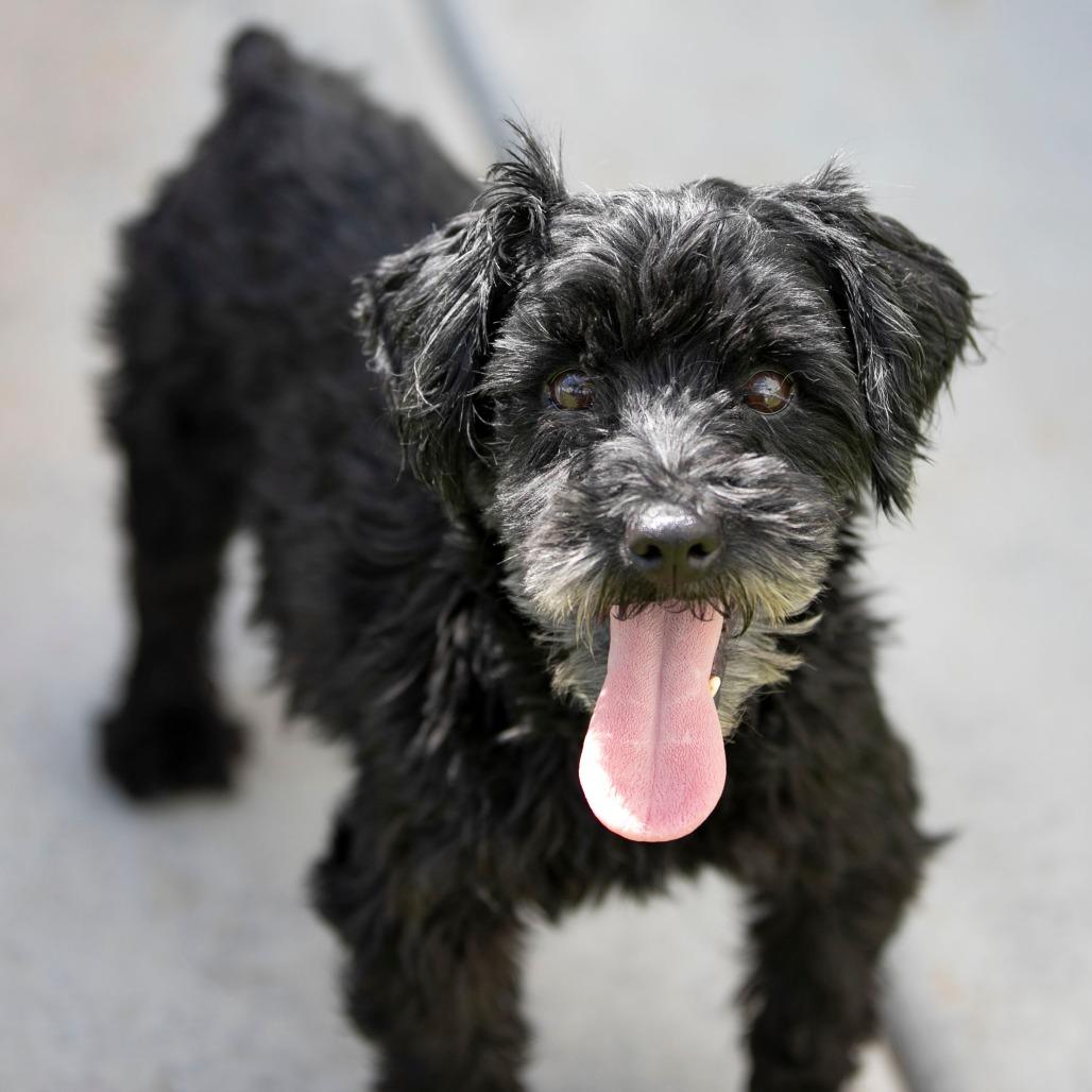 Jasper Fka Mr. Meeseeks thumbnail 6