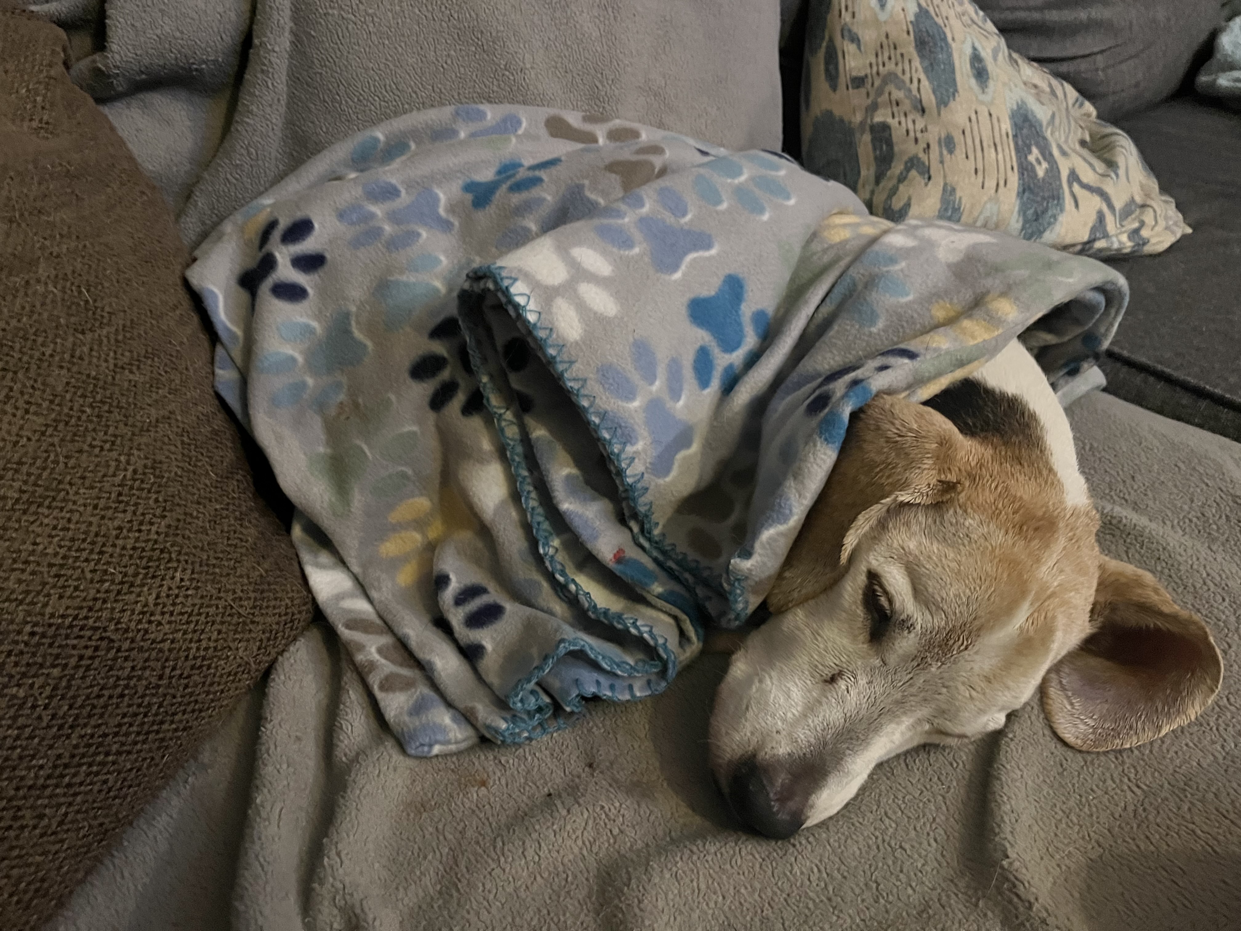Petey Man George photo 2