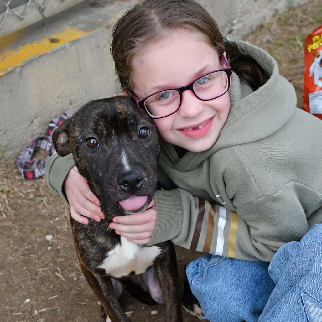 Enlarge Marie, a Adoptable Black Mouth Cur in Beaumont, TX image 3/6