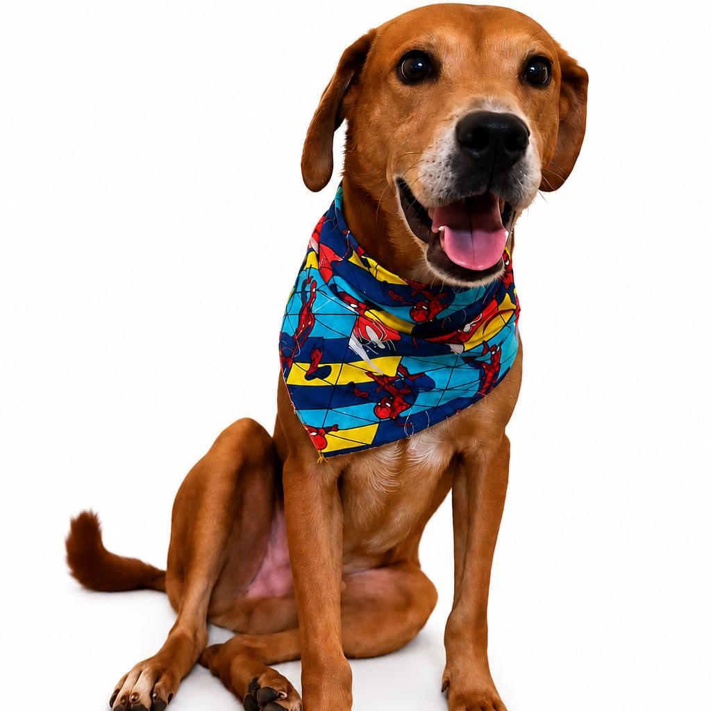 Canelo A, a Adoptable Mixed Breed in Guaynabo, PR image 3/5