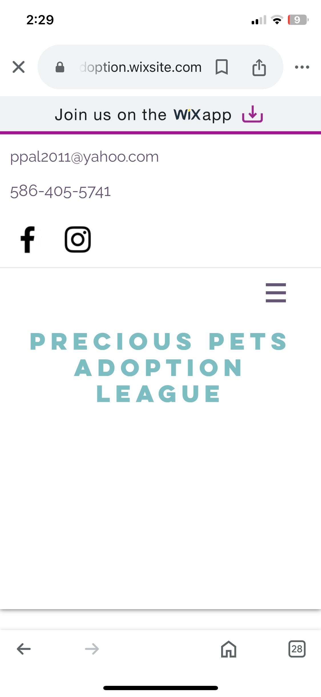 Enlarge Application adoption information, a Adoptable Domestic Short Hair in Shelby Township, MI image 3/3