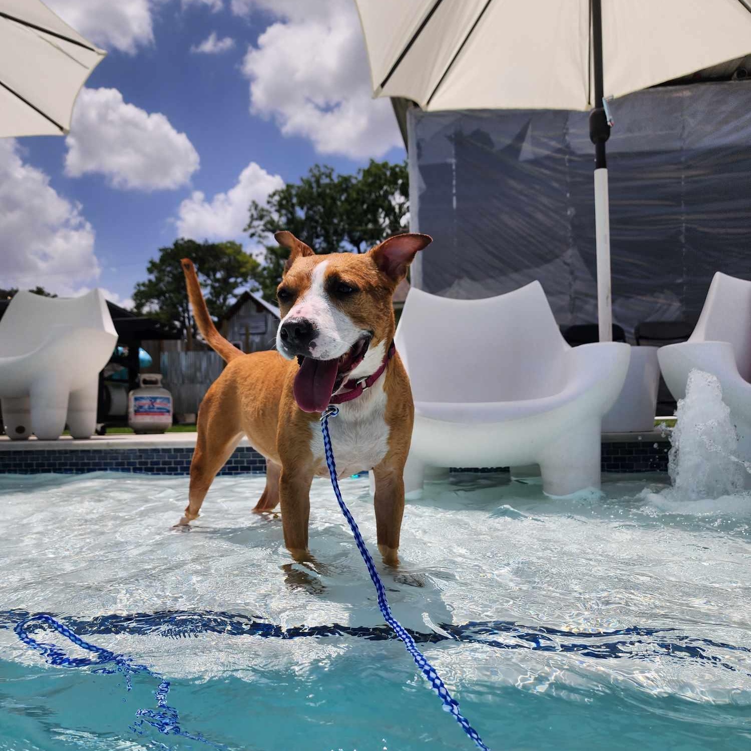 Delanie — thumbnail 2