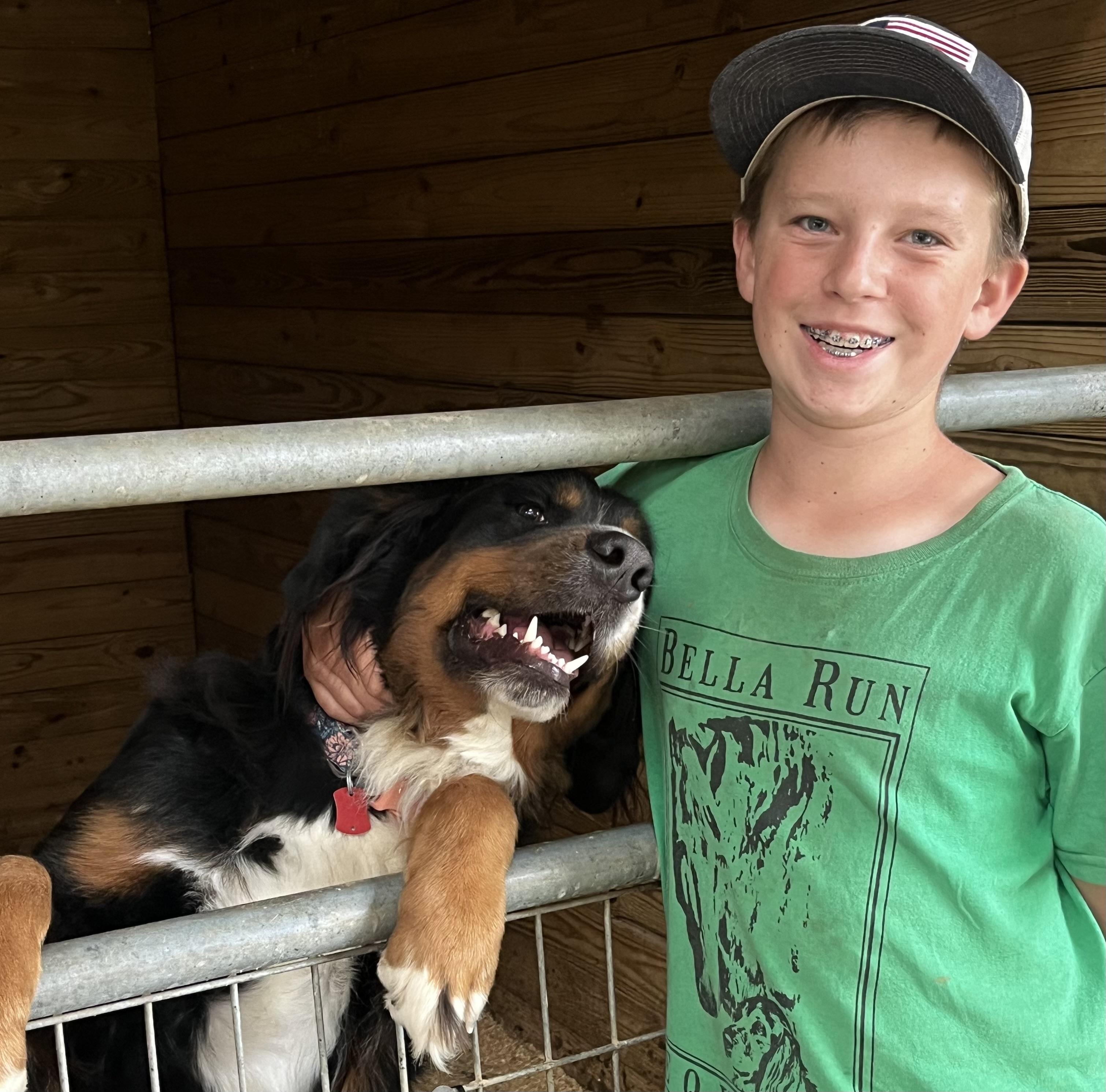 Enlarge Maggie, an adoptable Bernese Mountain Dog in Athens, OH image 3/3