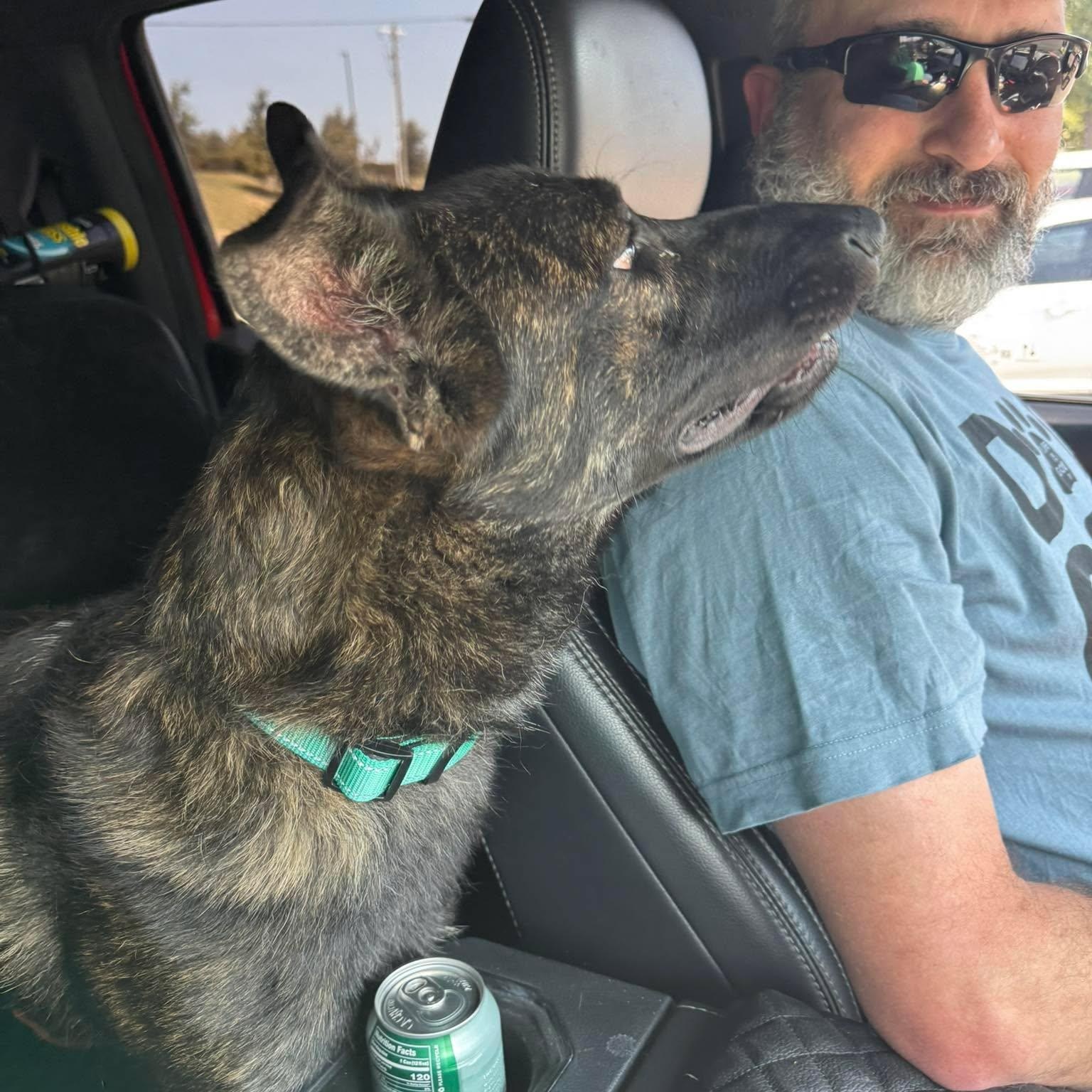 Enlarge Ripley, a Adoptable mixed breed in Leeds, ME image 6/6