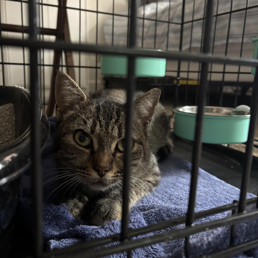 Kristen Stewart thumbnail 3