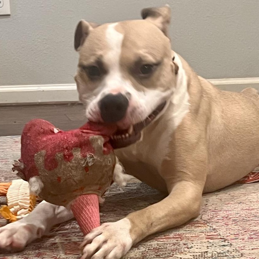 Philip — thumbnail 4