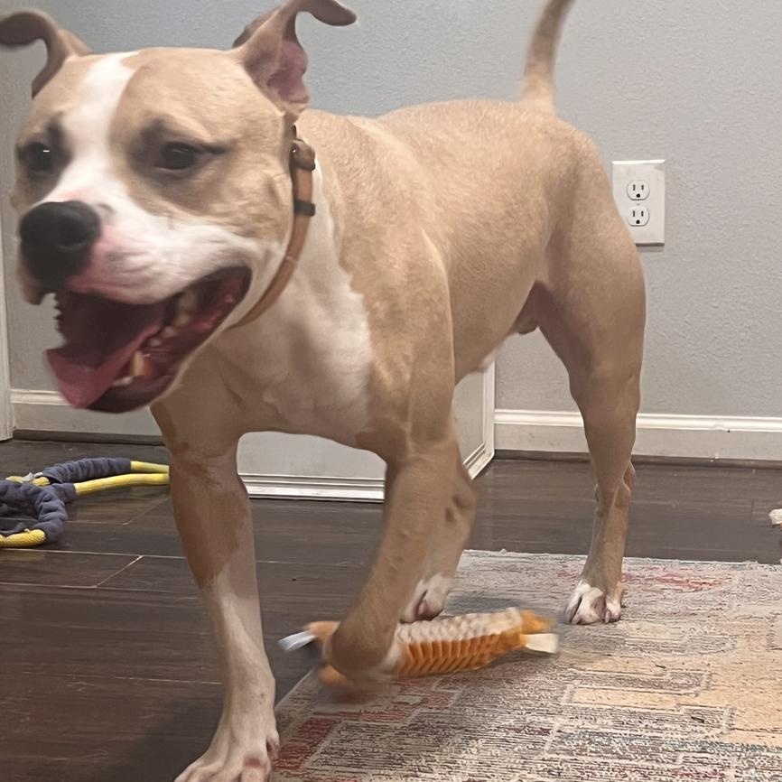 Philip — thumbnail 6