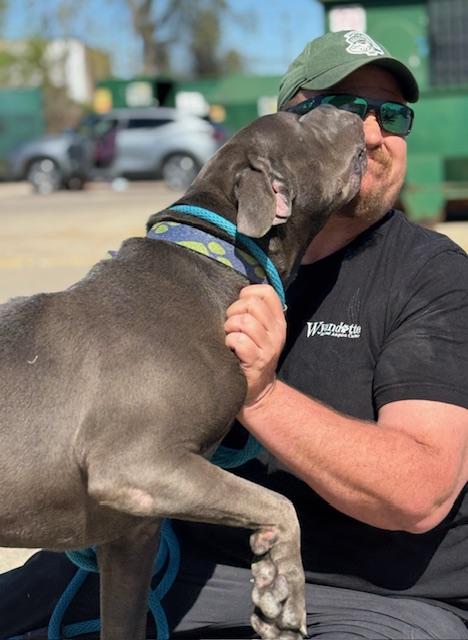 DOUGLAS (House Hippo)