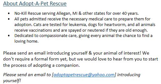 Pandora, a Adopted mixed breed in Allegan, MI image 3/3