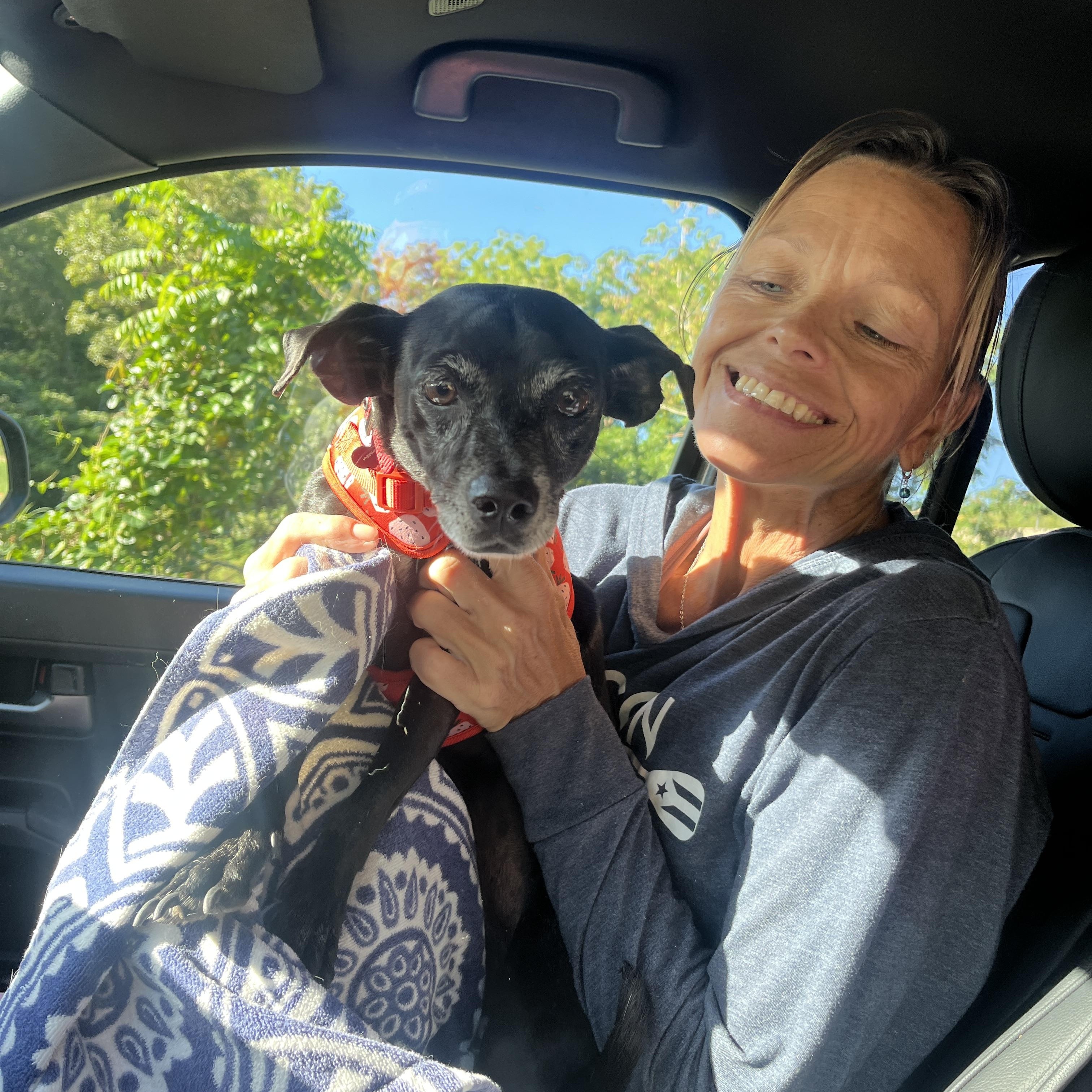 Enlarge Pixie , a ADOPTABLE mixed breed in Milwaukie, OR image 5/6